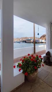 Ninfas 371 - 9