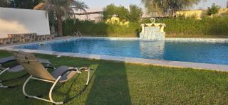 NMY Farm2 - Ras al Khaimah - 8