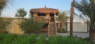 NMY Farm2 - Ras al Khaimah - 7