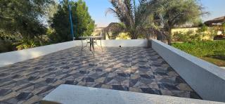 NMY Farm2 - Ras al Khaimah - 3