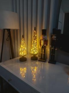 Apartament Ustrzyki Dolne "Dark-Wolf" - 0