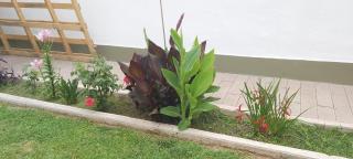 Casa EL HORNERO 1 con cochera en gran Mendoza - 8