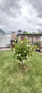 Casa EL HORNERO 1 con cochera en gran Mendoza - 4