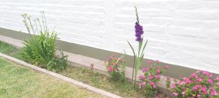 Casa EL HORNERO 1 con cochera en gran Mendoza - 6