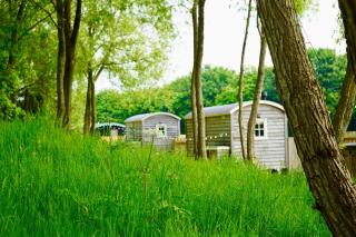 Honeysuckle Hut - Warmley - 5