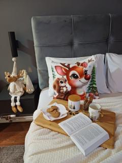 Alex lux apartman - 6