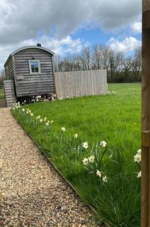 Jasmine Hut - Bristol - 8