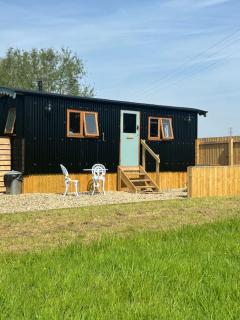 Bluebell Hut - Bristol - 0