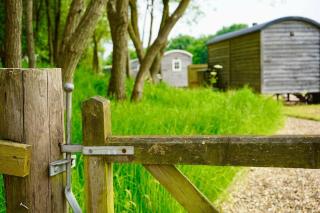 Bluebell Hut - Bristol - 8