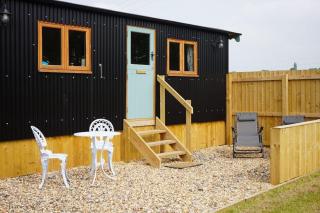 Bluebell Hut - Bristol - 4