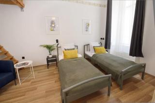 Spacious basic home in the city center - Budapest - 8