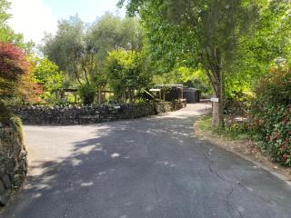 Willows Reach Lodge - Kumeu - 6