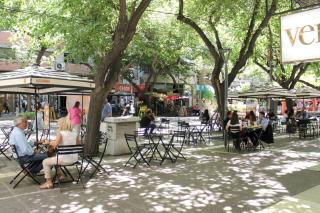 Elegante departamento en Pleno Centro - 1