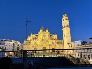 Apartamento La Jerezana - Jerez de la Frontera - 4