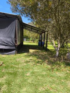 Almar - La Paloma - 5