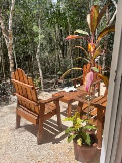 Casa Dharma House in the jungle - Macario Gomez - 2