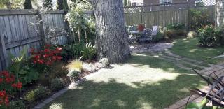 Quiet location ,central to city - Hamilton - 2