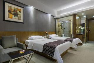 ZIXIN FOUR SEASONS HOTEL - Changsha - 4