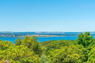 Bird Songs and lake views with wifi - Taupo - 8