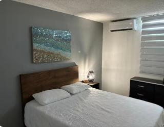 cozy private apartment near sju airport - Carolina - 6