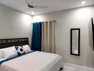 Modern Lofts 2 BR Apt in Kingston - 2