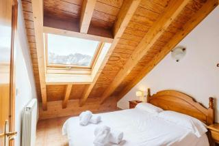 OLYMPIA - Tus mascotas son bienvenidas - Formigal - 8