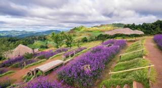The Doi Moncham - Chiang Mai - 6