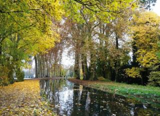 charmant studio avec terrasse - 5