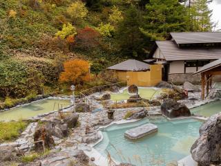 Manza Kogen Hotel - Tsumagoi - 4