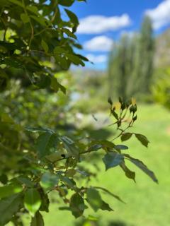 The Canyons B&B - Queenstown - 8