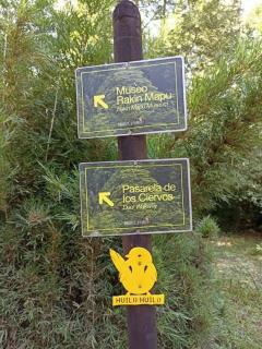 Lakustre Cabins - Acogedora cabaña de campo en Panguipulli - 1