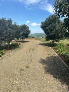Breathtaking Midlands stay at THE PROTEA CHALET 5kms from N3 - Hilton - 3