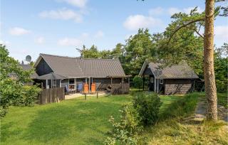 Three-Bedroom Holiday Home In Skjern - Halby - 0
