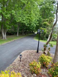 Willows Reach Lodge - Kumeu - 5