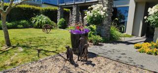 Central Retreat - Taupo - 4