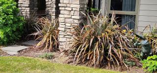 Central Retreat - Taupo - 2