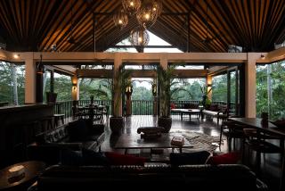 Villa Naga Putih - Ubud - 2