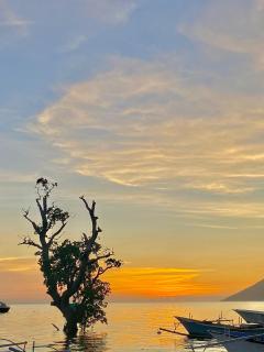 home stay trutle - Bunaken - 3