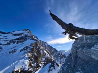 Apartment Lochner Piesendorf-Walchen - 1