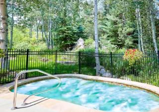 Renovated 2 BR Condo w Hot Tub -Mountain Views! - Snowmass Village - 5