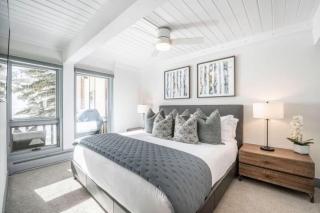 Renovated 2 BR Condo w Hot Tub -Mountain Views! - Snowmass Village - 8