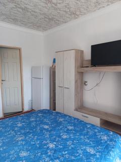 Cabană lingă București - Ţegheş - 4