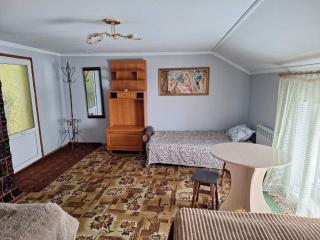 Садиба "Барвінок" - Podobovets - 9
