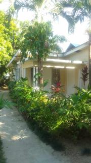 T&T - Tatty and Tony Guesthouse - Negril - 3