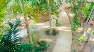 T&T - Tatty and Tony Guesthouse - Negril - 4