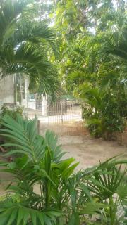 T&T - Tatty and Tony Guesthouse - Negril - 8