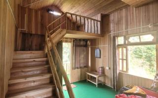 Wild Orchid Homestay By StayApart - 1