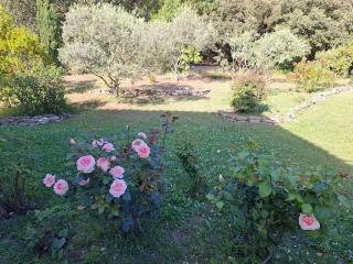 La gloriette - Saumane-de-Vaucluse - 5