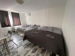 Studio Banjica - Sokobanja - 7