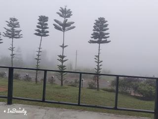 เฟรนด์แคมป์ - Khao Kho - 1